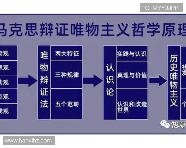 深圳羽毛球队的战术运营体系解析与实践经验分享