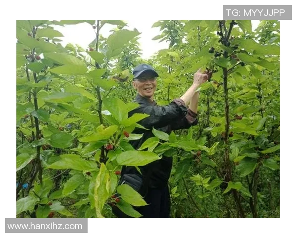 王芳的CSGO人生：从新手到职业选手的深度对话与成长历程