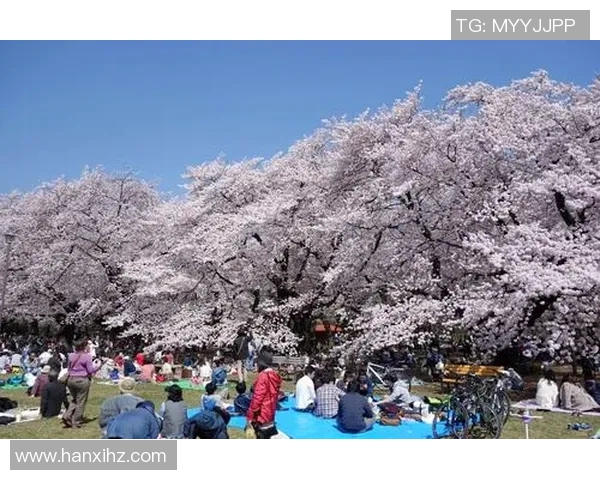 东京与大阪的精彩球赛直播全攻略尽在此处尽情观看与讨论